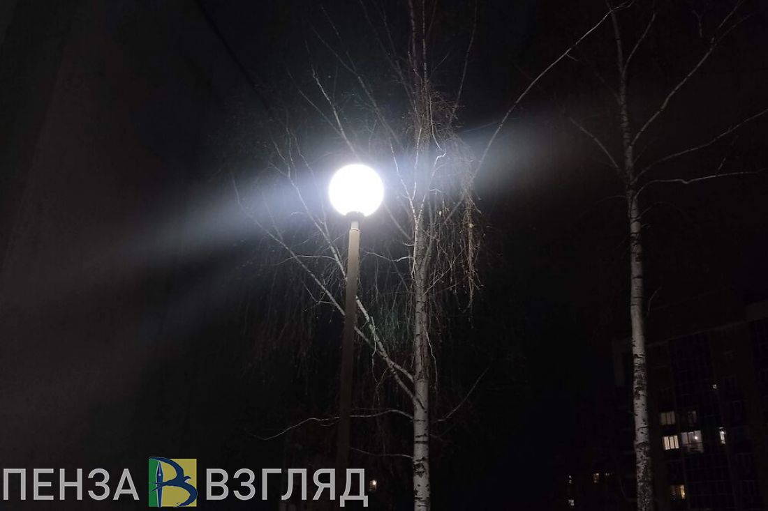 Пензенцы пожаловались на неработающие фонари в парке имени Белинского