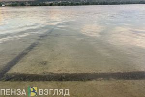 Зареченцы просят заняться очисткой водоемов в городе