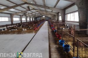 В Сердобском районе мужчина украл с фермы чугунные решетки