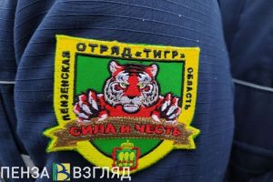 20 студентов из Бековского района вступят в отряд содействия полиции «Тигр»