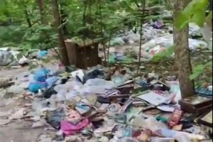 Житель Пензы обнаружил склад с иконами и крестами рядом с кладбищем
