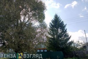 Синоптики рассказали о погоде в Пензенской области на рабочей неделе