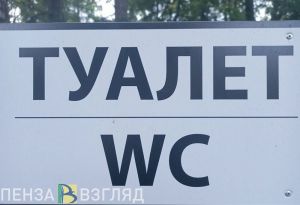 Пензенцы устроили потоп в туалете на набережной