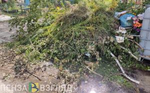 На вывоз мусора с Западного кладбища в Пензе готовы направить более 300 тысяч рублей