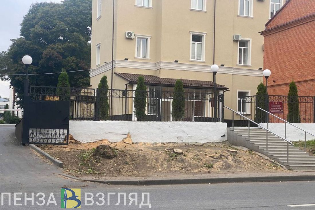 Пензенцы озадачены вырубкой деревьев около медицинского учреждения