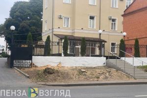 Пензенцы озадачены вырубкой деревьев около медицинского учреждения