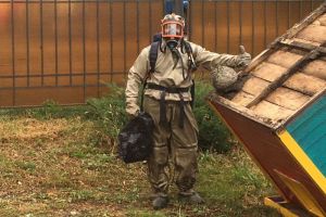 Спасатели помогли воспитанникам детского сада избежать «осиной» опасности