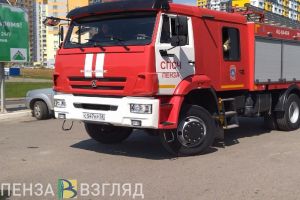 В Пензе сгорели два гаража и надворная постройка