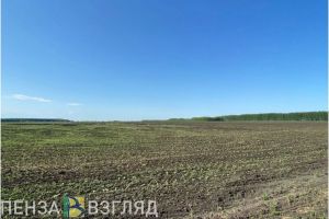 Пензенцы могут получить доплату к пенсии за работу в сельской местности