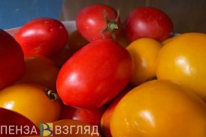 Пензенцев приглашают за покупками на ярмарку сельхозпроизводителей