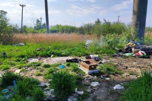 В Каменке ликвидировали две несанкционированные свалки