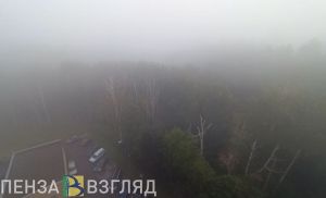 В Пензенской области 14 сентября прогнозируется туман