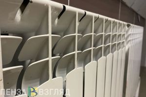 В мэрии Пензы рассмотрят вопрос о досрочной подаче отопления в школы и детсады