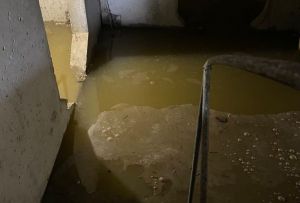 Пензячка сообщила о затопленном фекалиями асфальте на улице Лядова