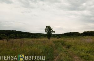 С администрации Наровчатского района требуют 4 млн рублей за вред почве