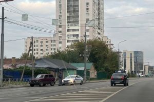В Пензе росгвардейцы пустились в погоню за пьяной автоледи