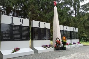 В селе Пачелмского района отремонтировали памятник погибшим воинам ВОВ