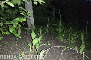 Пензенцев просят помочь в поисках пропавшей женщины