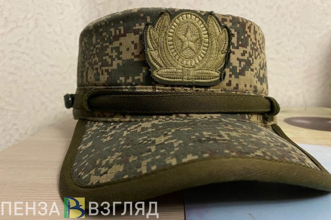 Пензенцы узнали, на что чаще всего жалуются мобилизованные