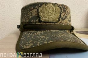 Пензенцы узнали, на что чаще всего жалуются мобилизованные