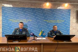 За 8 месяцев в Пензенской области из-за пожаров погибли 53 человека