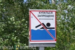 Дело пензенских полицейских, штрафы за купание в запрещенных местах, развязка между Ахунами и ГПЗ – новости Пензы и области за 15 сентября