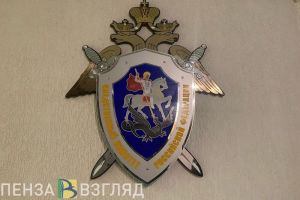 Бастрыкин контролирует расследование дела в отношении полицейских из Пензы