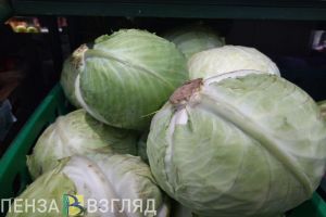 В Пензенской области выросли потребительские цены на товары и услуги