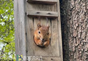 Пензенская область на выходных окажется под влиянием антициклона