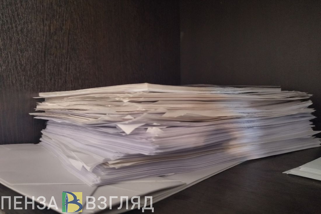 В Сердобском районе создадут Семейный многофункциональный центр