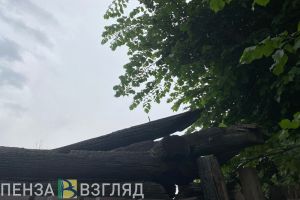 В селе Кузнецкого района выгорел кирпичный дом