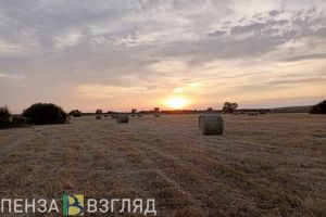 Житель Пензенского района украл 5 тюков соломы