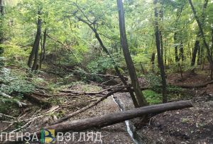 19 сентября в Пензенской области ожидается +22 градуса