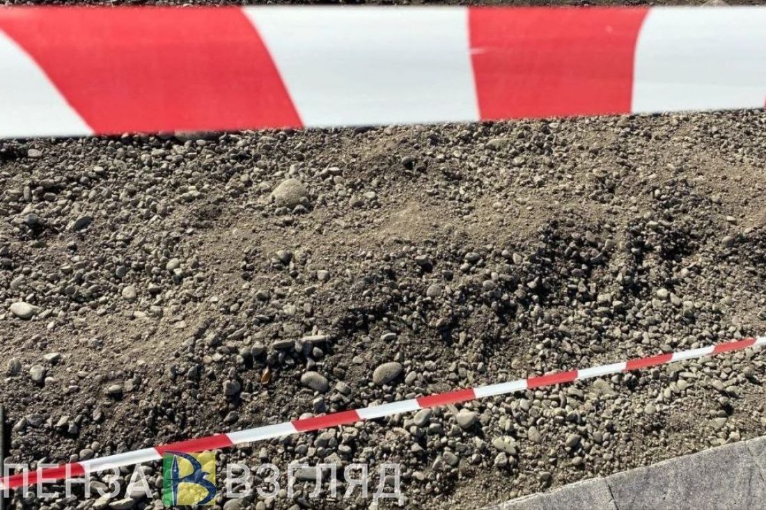 В двух селах Пензенской области объявили карантин по бешенству