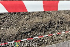 В двух селах Пензенской области объявили карантин по бешенству