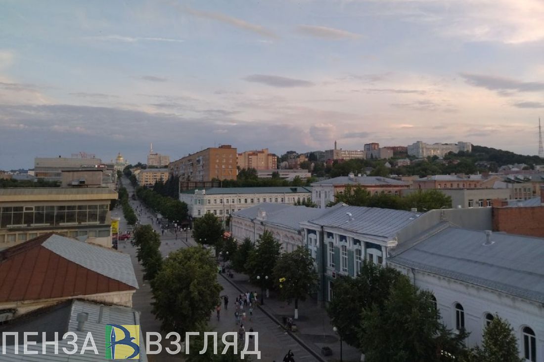 Пензенцев просят пройти опрос, который поможет повысить рождаемость