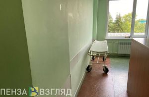 Воробьева рассказала о смертности от ковида в Пензенской области
