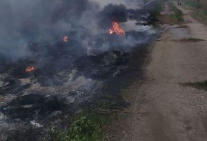 В Каменском районе намерены уничтожить конопляное поле