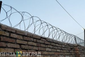 Появились первые после задержания кадры с артисткой Рамилей Искандер, которая находится в пензенском СИЗО