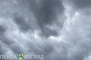 Крушение самолета, отключение света и утвержденная программа развития торговли — новости Пензы и области за 20 сентября