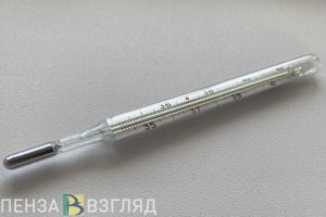Пензенцы узнали о небольшом количестве госпитализированных с ковидом в стране