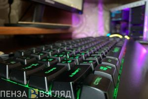 Житель Пензенской области заплатит за демонстрацию нацистской символики