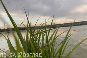 В Пензенской области за купальный сезон утонул 21 человек