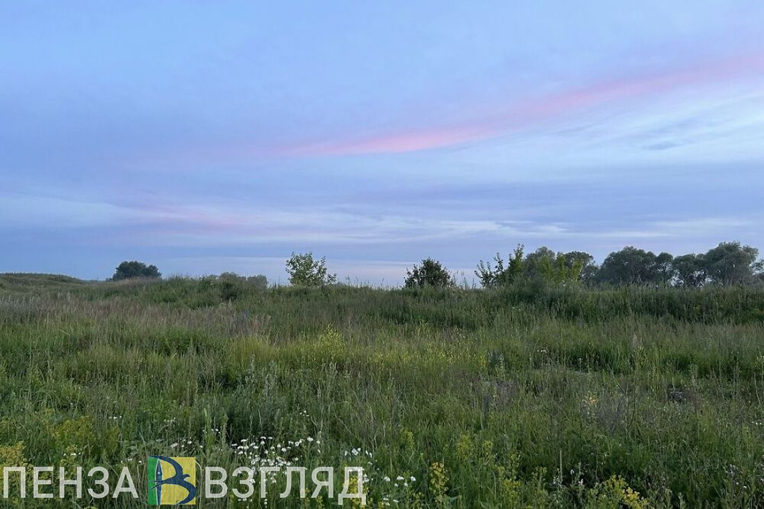 Завтра в Пензенской области прогнозируется +27 градусов тепла