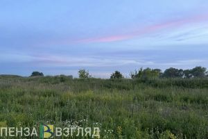 Завтра в Пензенской области прогнозируется +27 градусов тепла
