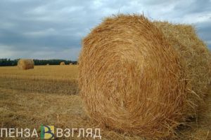 В Неверкинском районе сельхозработникам не выплатили 700 тыс. рублей