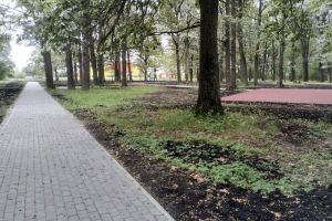 В рабочем поселке Пачелма благоустроили Парк культуры