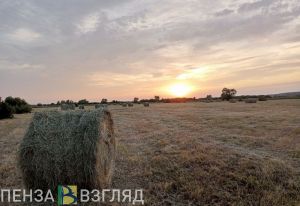 В Пензенской области сгорело восемь тонн сена