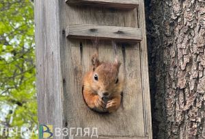 Синоптики сделали прогноз в Пензенской области на 24 сентября