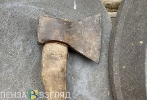 В Пензенском районе пенсионерка угрожала убийством топором сожительнице сына